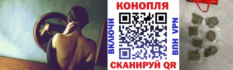 Как найти наркотики Гвардейск Гашиш  Alpha PVP  Галлюциногенные грибы  Меф 