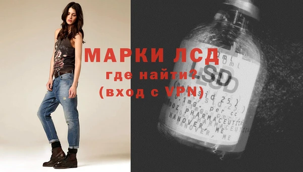 стаф Верея