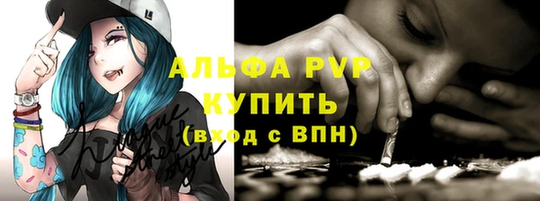 стаф Верея