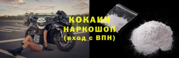 стаф Верея