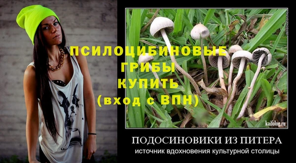 сатива Верхний Тагил