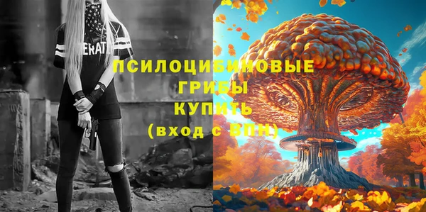 стаф Верея
