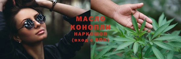 молекула духа Бородино