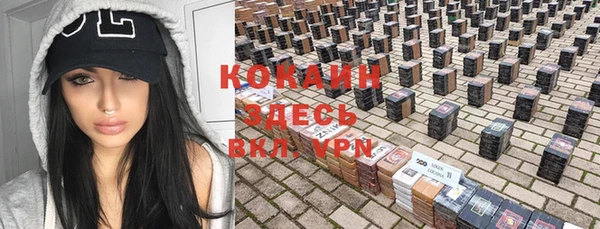 сатива Верхний Тагил