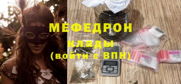 стаф Верея