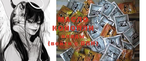 молекула духа Бородино
