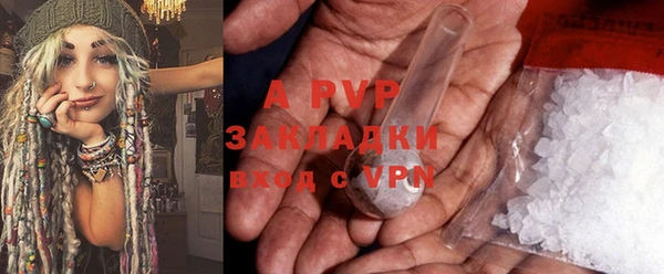 молекула духа Бородино