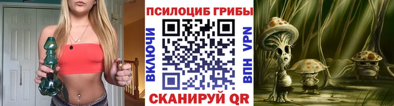 darknet официальный сайт Гвардейск Галлюциногенные грибы Magic Shrooms