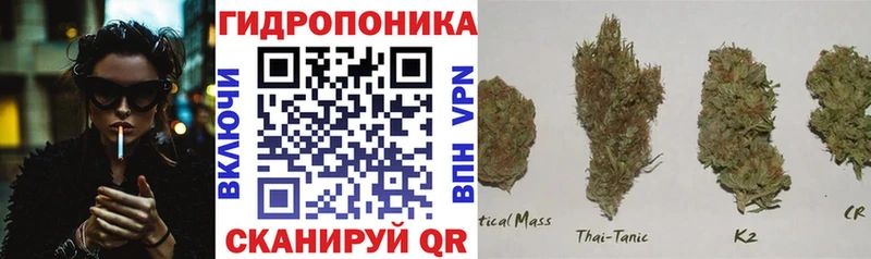 Марихуана LSD WEED OMG ссылка Гвардейск купить цена